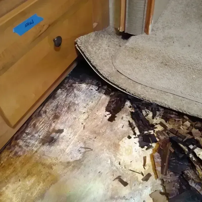 Wood Floor Water Damage in Merrifield, VA